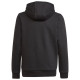 Adidas Παιδικό φούτερ Adicolor Hoodie